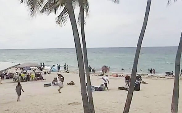 florida beach shooting hollywood